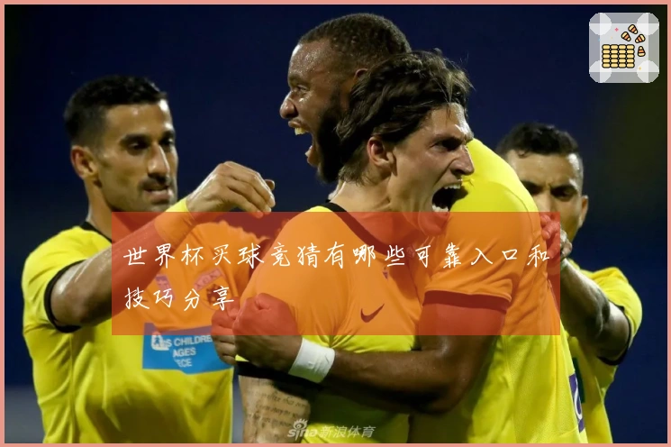 世界杯买球竞猜有哪些可靠入口和技巧分享