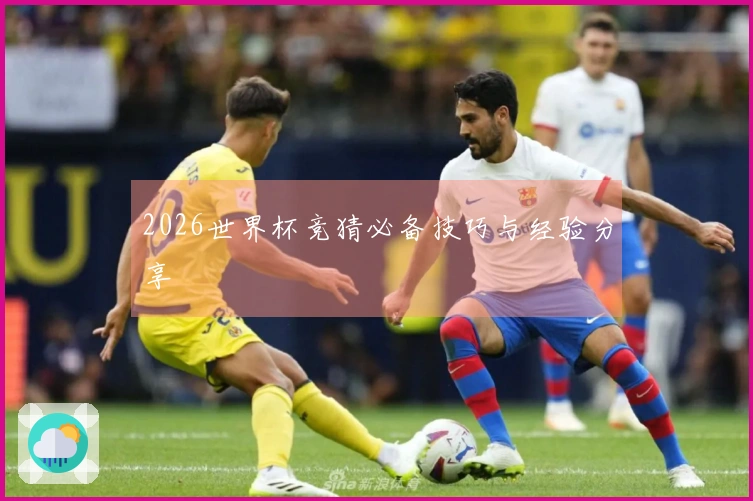 2026世界杯竞猜必备技巧与经验分享