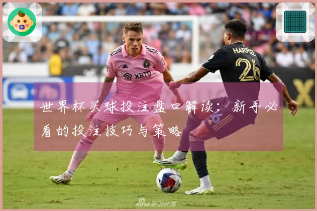 世界杯买球投注盘口解读：新手必看的投注技巧与策略
