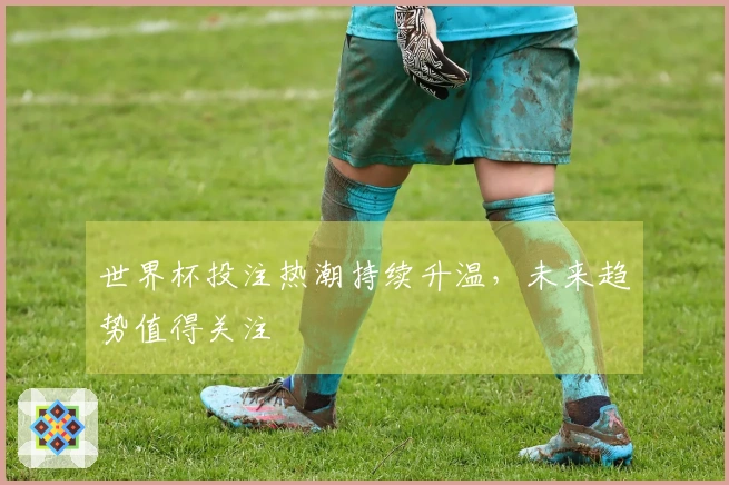 世界杯投注热潮持续升温，未来趋势值得关注