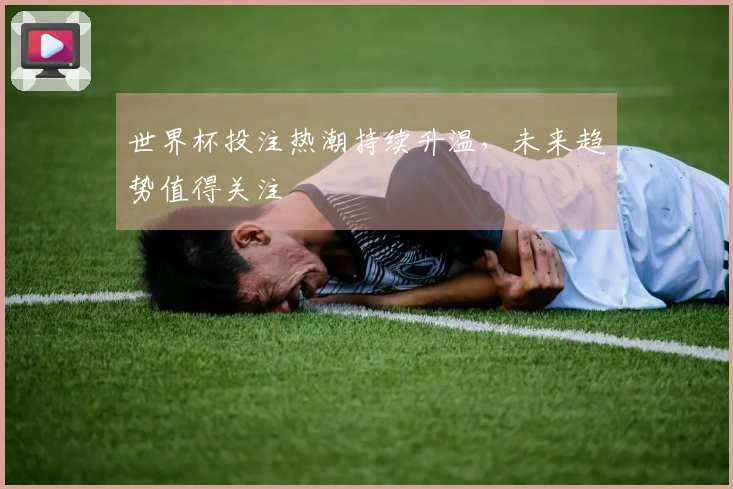 世界杯投注热潮持续升温，未来趋势值得关注