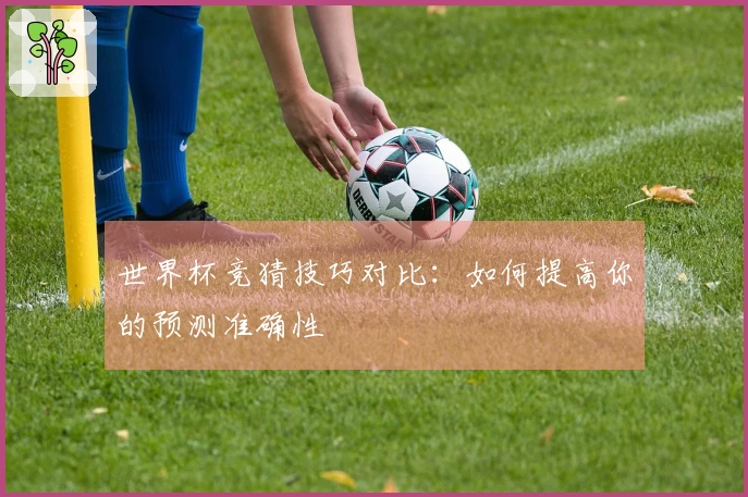 世界杯竞猜技巧对比：如何提高你的预测准确性