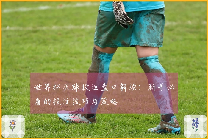 世界杯买球投注盘口解读：新手必看的投注技巧与策略