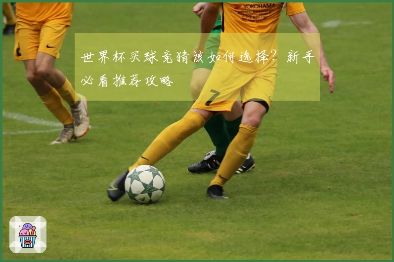 世界杯买球竞猜该如何选择？新手必看推荐攻略