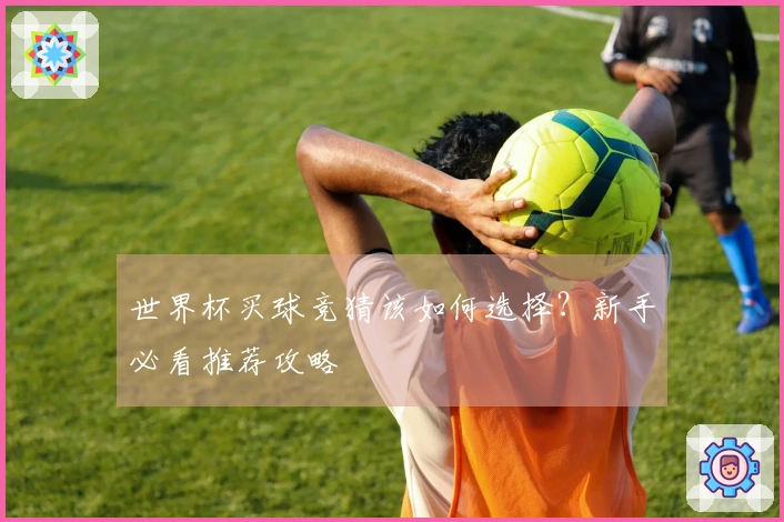 世界杯买球竞猜该如何选择？新手必看推荐攻略