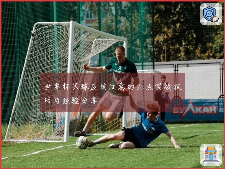 世界杯买球应该注意的几点实战技巧与经验分享